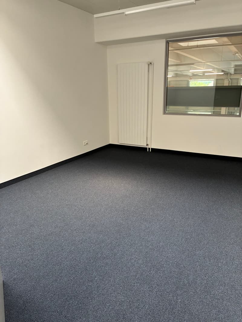 Vielseitig nutzbarer Gewerberäume in Malans GR zu vermieten (10)