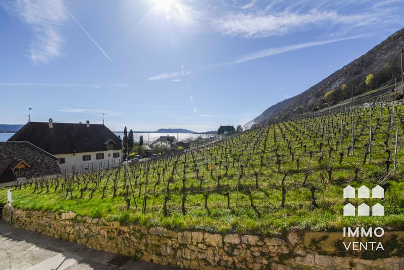 Einfamilienhaus in Ligerz mit Seeblick und eigenen Reben (12)