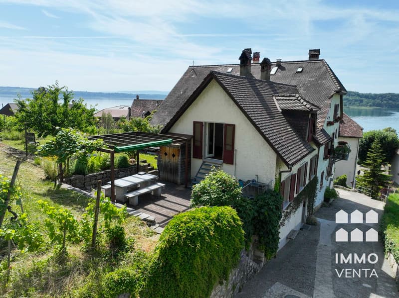 Einfamilienhaus in Ligerz mit Seeblick und eigenen Reben (2)