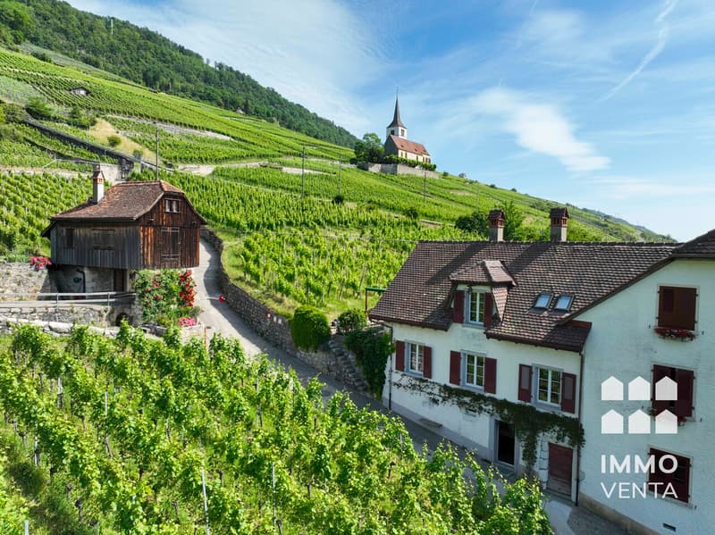 Einfamilienhaus in Ligerz mit Seeblick und eigenen Reben (1)