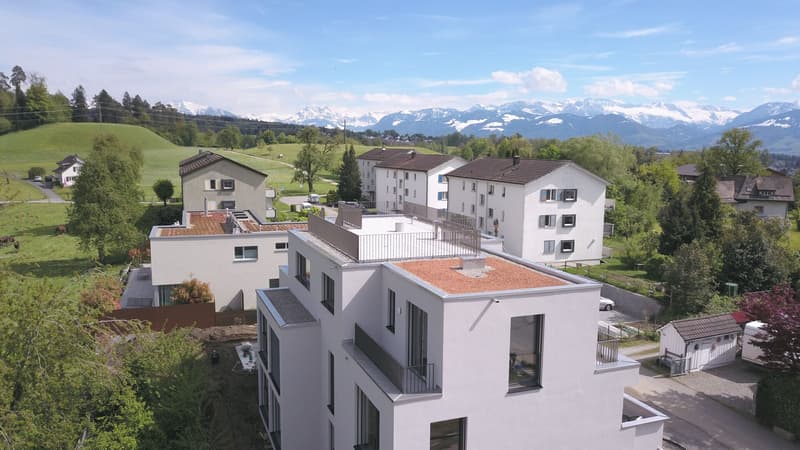 Top Attikawohnung mit Dachterrasse und Terrassen im Eigentumsstandard (1)