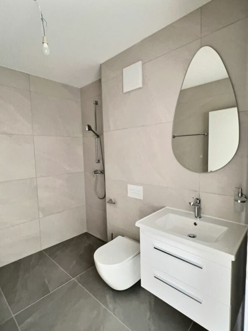 Penthouse 4.5 rooms in Aproz (Nendaz) (13)