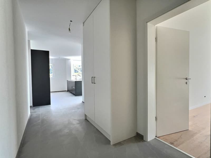 Penthouse 4.5 rooms in Aproz (Nendaz) (9)