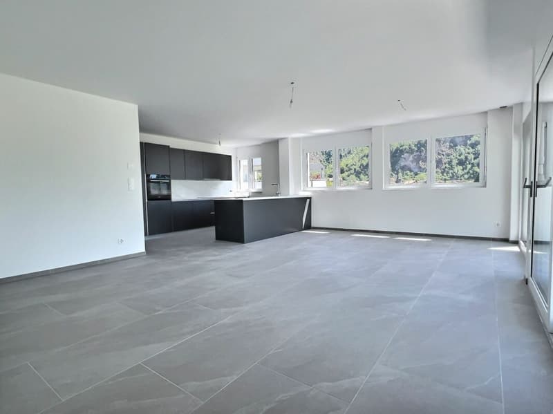 Penthouse 4.5 rooms in Aproz (Nendaz) (4)