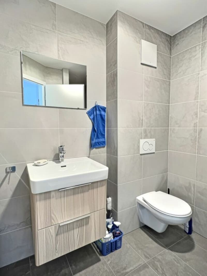 Apartment 3.5 rooms on the 1st floor - Monthey (7)