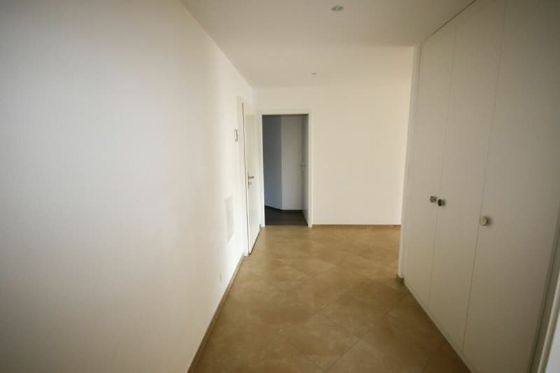 Appartement de standing de 5,5 pièces avec terrasse et vue sur le lac (22)