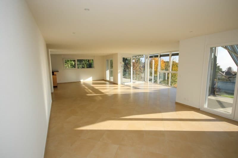 Appartement de standing de 5,5 pièces avec terrasse et vue sur le lac (9)