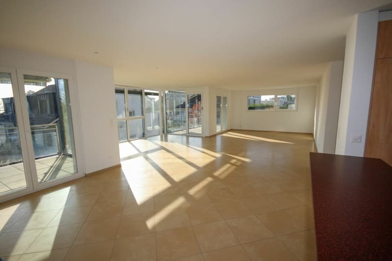 Appartement de standing de 5,5 pièces avec terrasse et vue sur le lac (8)