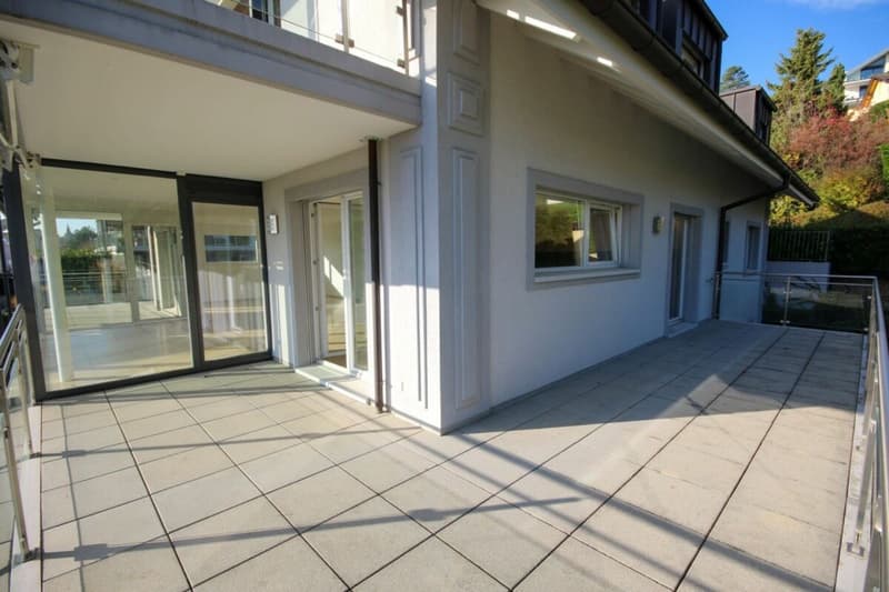 Appartement de standing de 5,5 pièces avec terrasse et vue sur le lac (4)