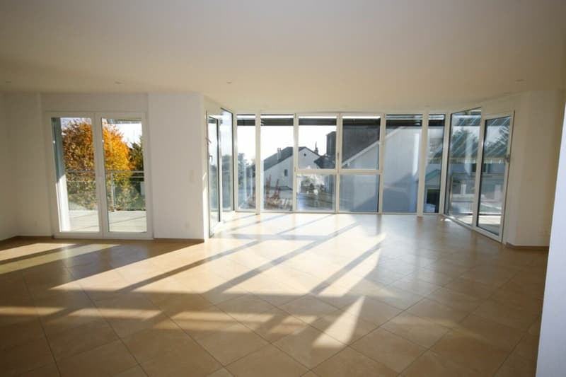 Appartement de standing de 5,5 pièces avec terrasse et vue sur le lac (10)