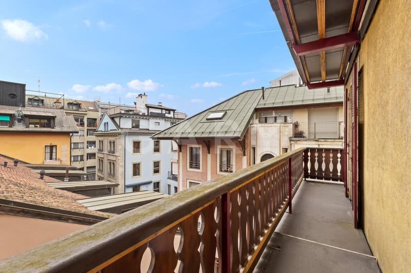 Magnificent prestige apartment with terrace (11)