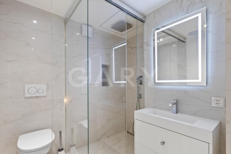 Magnificent prestige apartment with terrace (12)