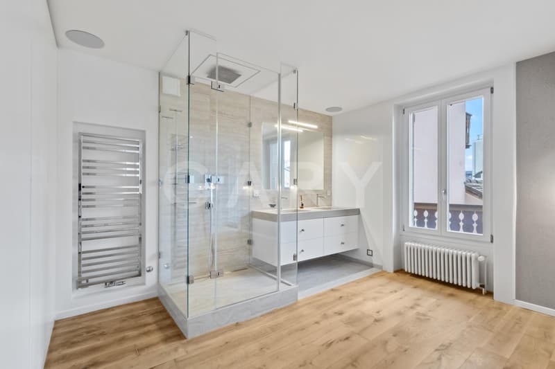 Magnificent prestige apartment with terrace (6)