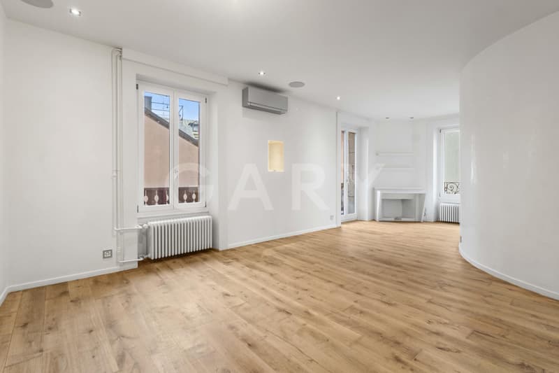 Magnificent prestige apartment with terrace (8)