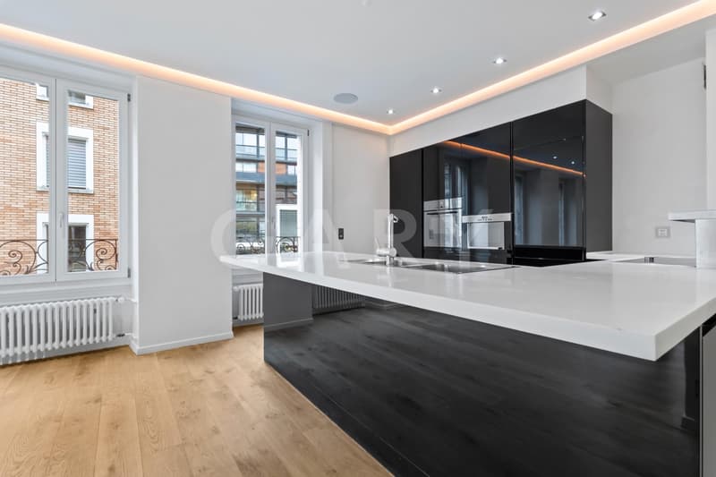 Magnificent prestige apartment with terrace (7)