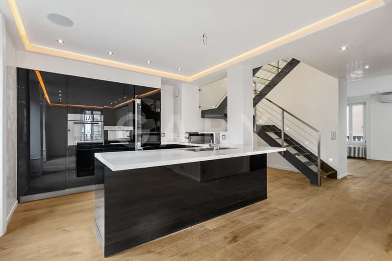 Magnificent prestige apartment with terrace (1)