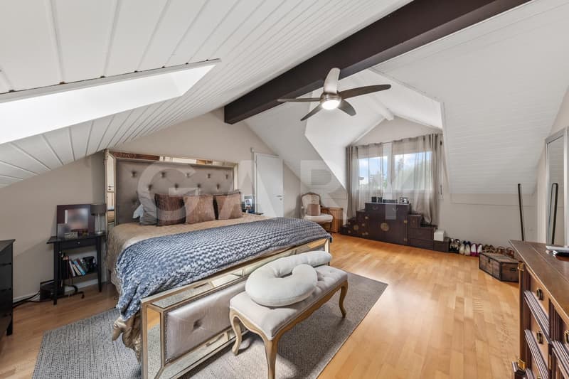 Charming individual villa in the heart of Vésenaz (8)