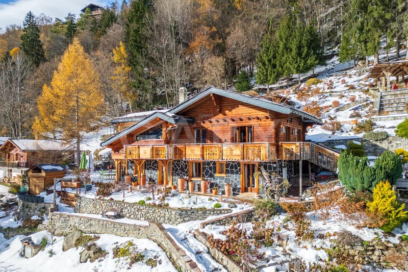 Exceptional Alpine property at the foot of the ski lifts (1)