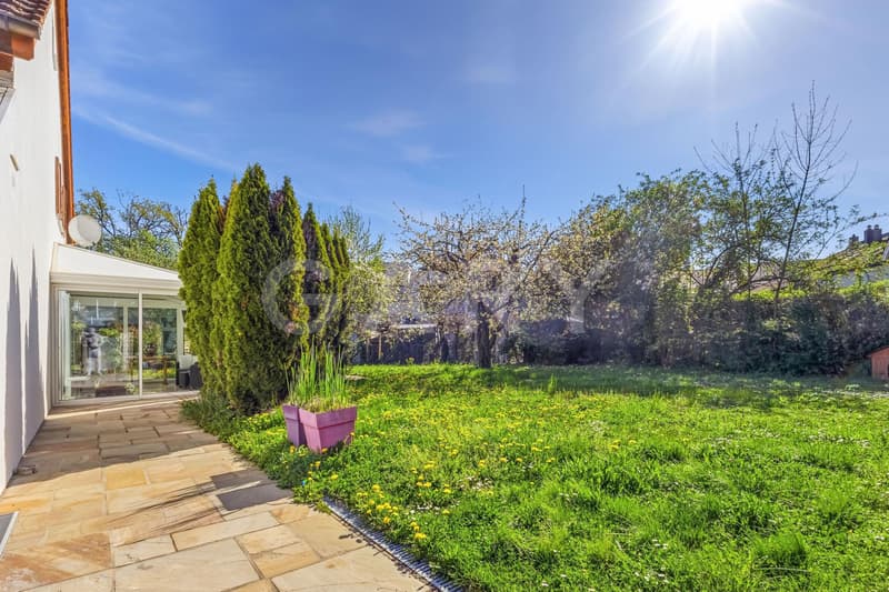 Bright family house with large garden (5)