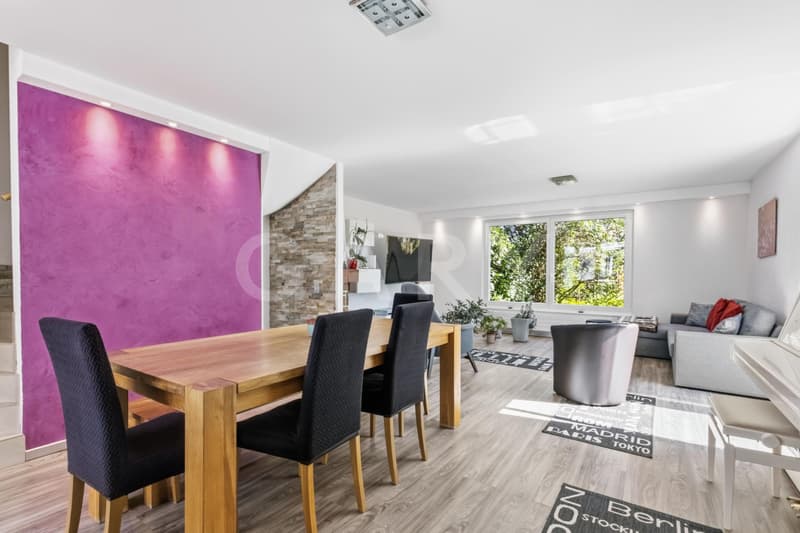 Bright family house with large garden (7)