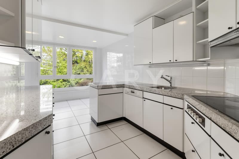 Appartement 7 pièces au coeur de Genève (5)