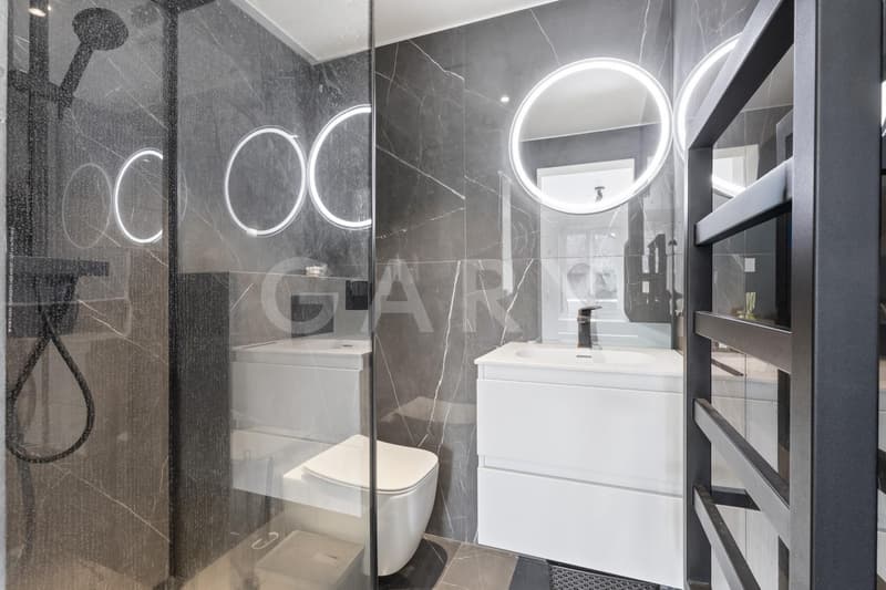 Duplex en attique (9)