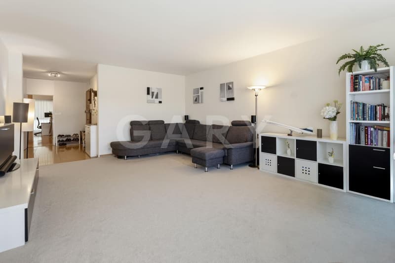 En exclusivité : Appartement pour rendement locatif au coeur de Champel (4)