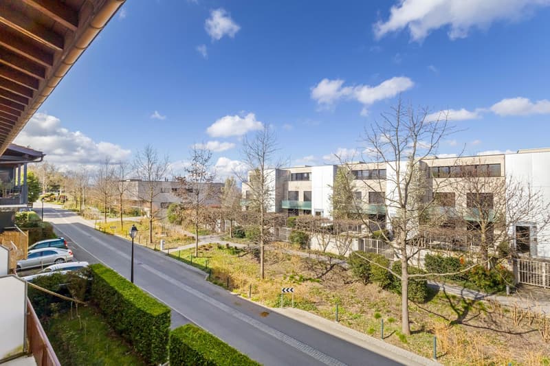 Duplex en attique (11)