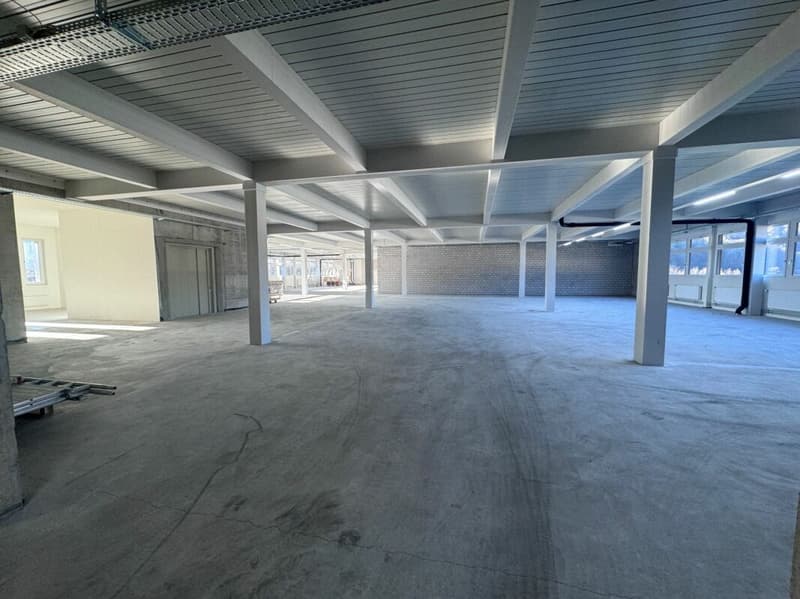 Parc industriel Plonserfeld - Commercial 3e étage à partir de 200m²-796m² (4)
