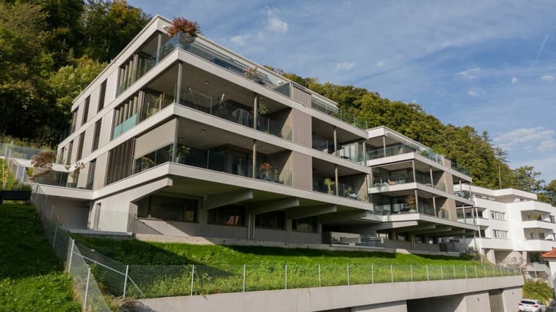 Majestätisch Wohnen mit Penthouse Feeling (2)