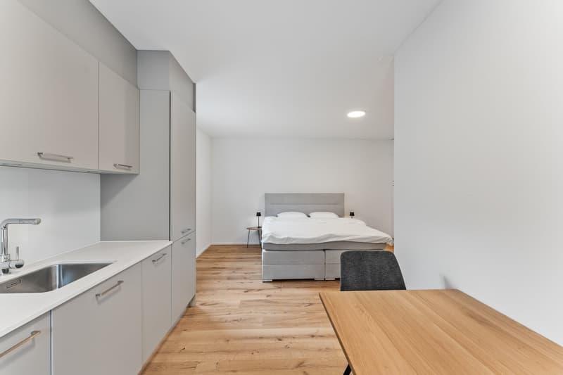 möbiliertes Studio in Visp - Neubau (2)