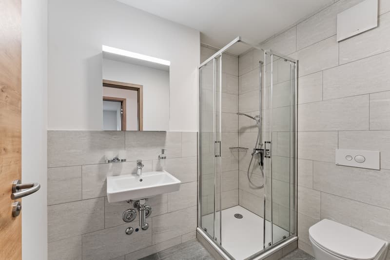 möbiliertes WG Zimmer in 5.5-Z-Gartenwohnung - Neubau (12)