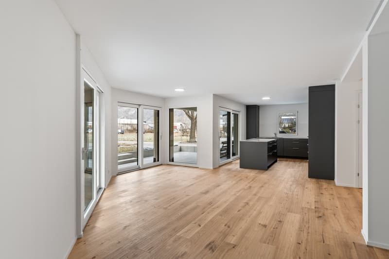 möbiliertes WG Zimmer in 5.5-Z-Gartenwohnung - Neubau (10)