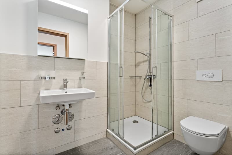 möbiliertes WG Zimmer in 5.5-Z-Gartenwohnung - Neubau (15)