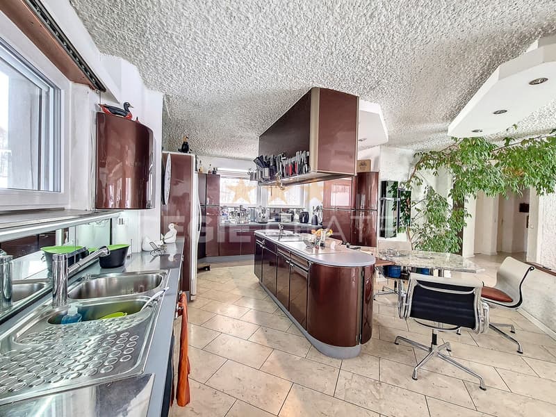 Spacieux appartement avec jardin et grand garage/atelier (4)