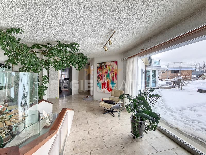 Spacieux appartement avec jardin et grand garage/atelier (3)