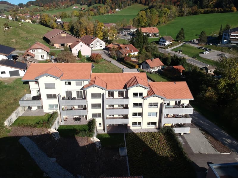 Meravigliosi appartamenti nuovi 2 ultimi 4.5 locali (2)