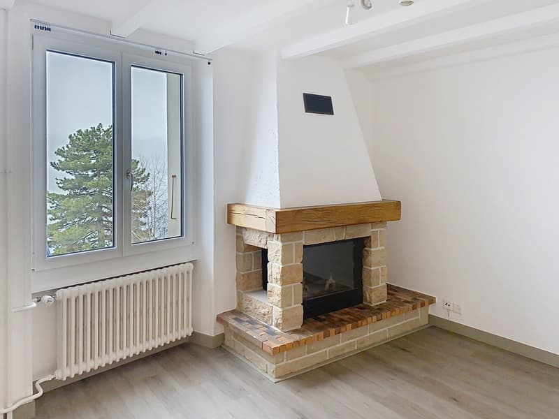 Schönes 3.5-Zimmer-Wohnung (3)