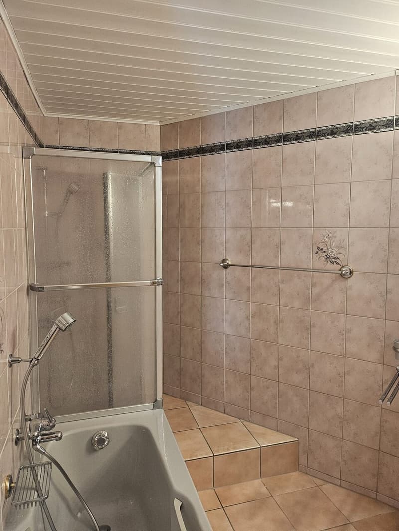 Schönes 3.5-Zimmer-Wohnung (4)