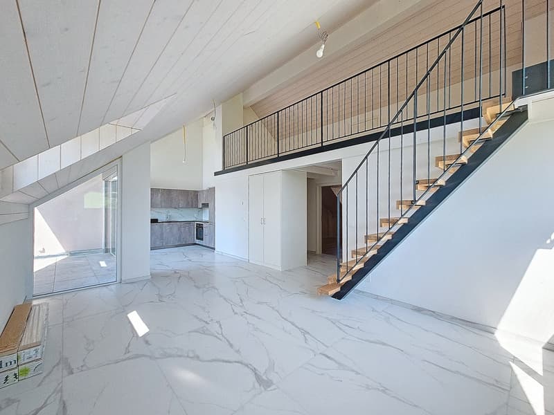 Wohnung 3,5 Zimmer im letzten Stock mit Galerie (1)
