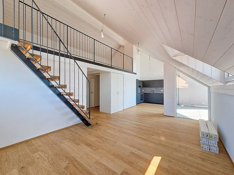 Wohnung 3,5 Zimmer im letzten Stock mit Galerie (6)
