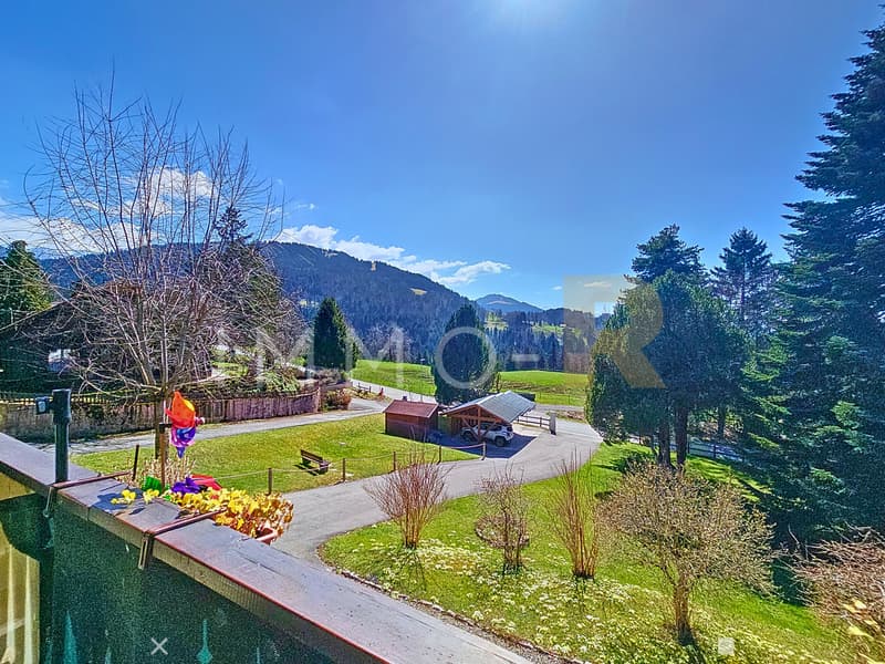 Charmanter Apartment mit 5,5 Zimmern in einem Chalet (4)