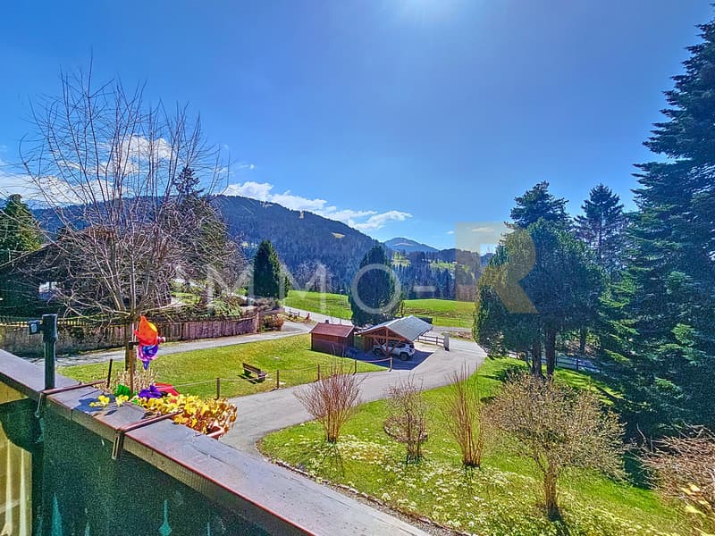 Charming 5.5-room apartment in a chalet (4)