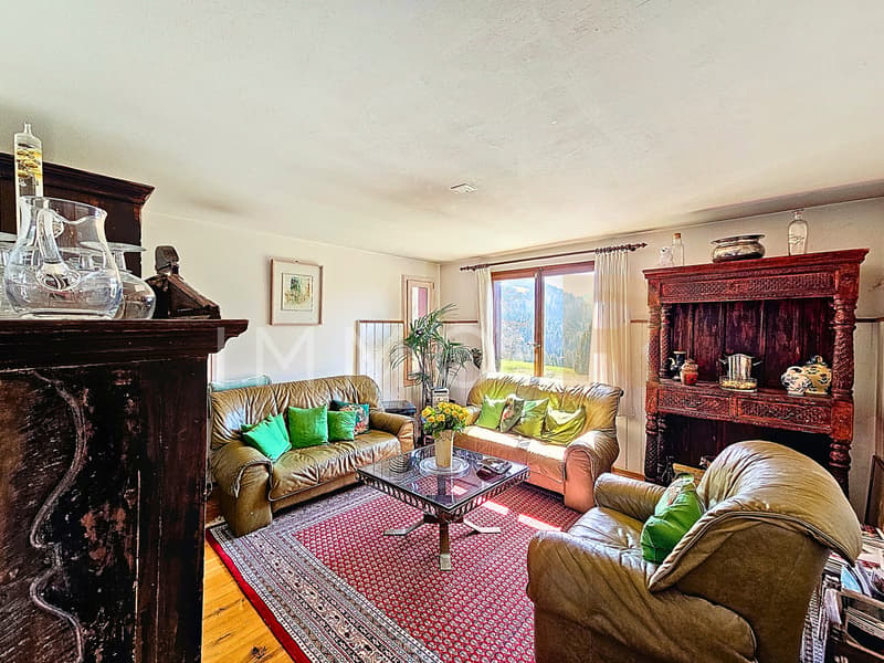 Charming 5.5-room apartment in a chalet (7)