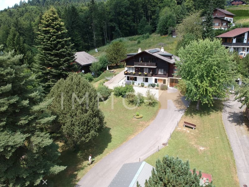 Charmanter Apartment mit 5,5 Zimmern in einem Chalet (2)