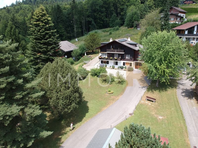 Charming 5.5-room apartment in a chalet (2)