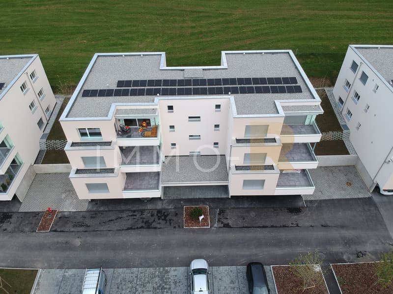 Last 4.5-room apartment (9)