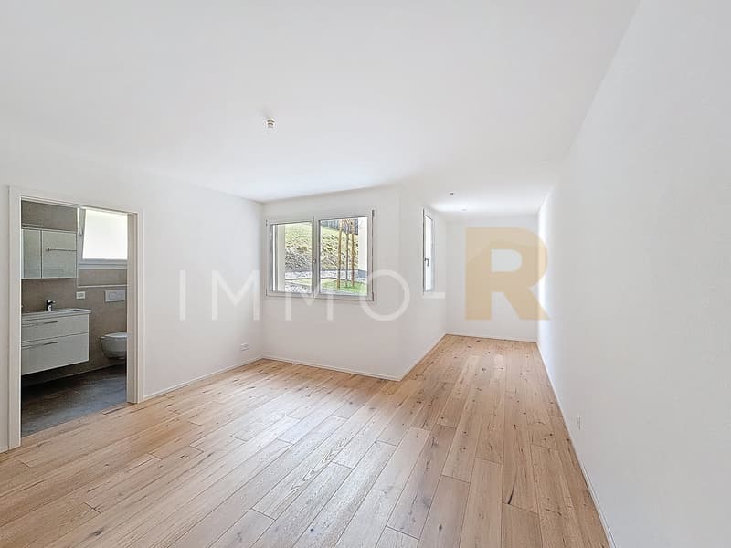 Last 4.5-room apartment (5)