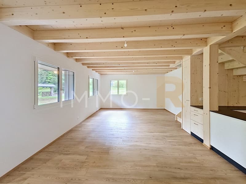 Chalet 5.5 rooms fully renovated in a quiet area, between greenery and forest (4)