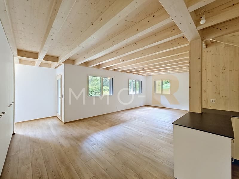 Chalet 5.5 rooms fully renovated in a quiet area, between greenery and forest (2)